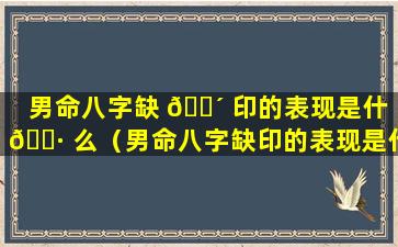 男命八字缺 🌴 印的表现是什 🌷 么（男命八字缺印的表现是什么样子）